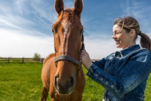 horse mortality insurance